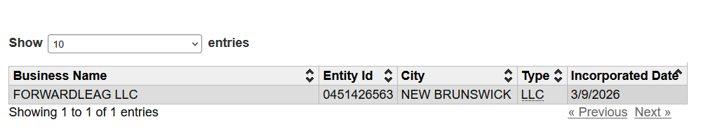 screenshot of the Forwardleag LLC formation in New Jersey