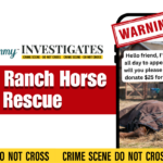 Animal Rescue Scam: Anne Ranch Horse Rescue