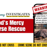 Animal Rescue Scam: God’s Mercy Horse Rescue