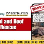 Animal Rescue Scam: Heel and Hoof Rescue / Safe Haven Horse Rescue