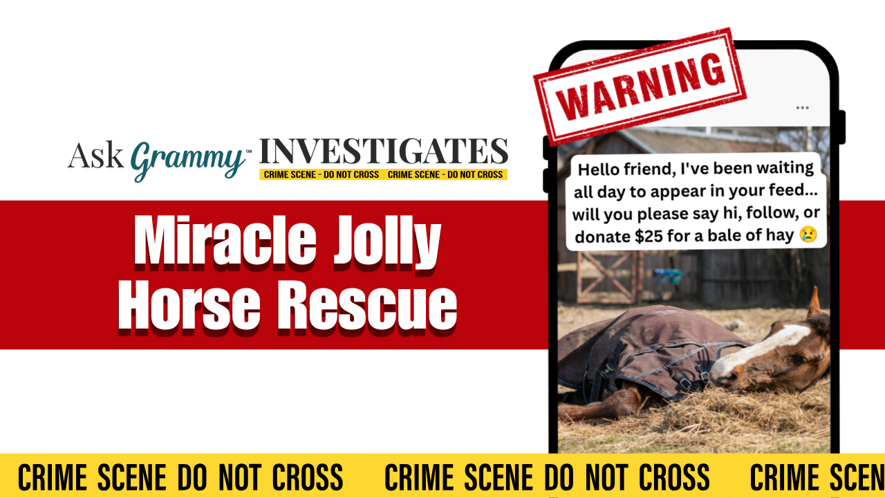 Social media post on a mobile phone, featuring a horse laying on the ground