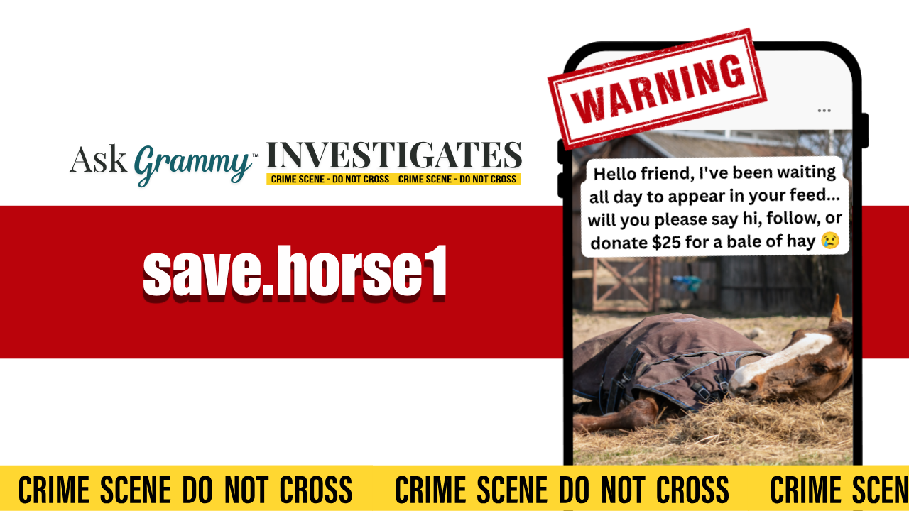 Social media post on a mobile phone, featuring a horse laying on the ground