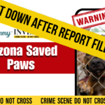 Animal Rescue Scam: Arizona Saved Paws