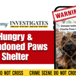Animal Rescue Scam: Hungry & Abandoned Paws Shelter