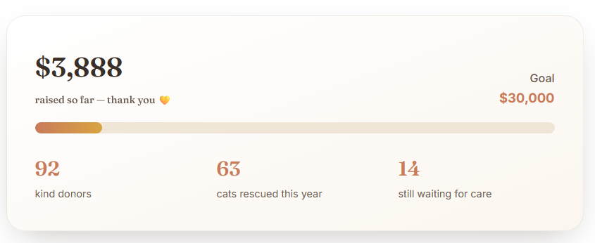 Shopify account stats showing $3,888 received from 92 donors